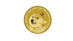 What is Doge Cryptocurrency?