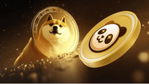 Shib Cryptocurrency